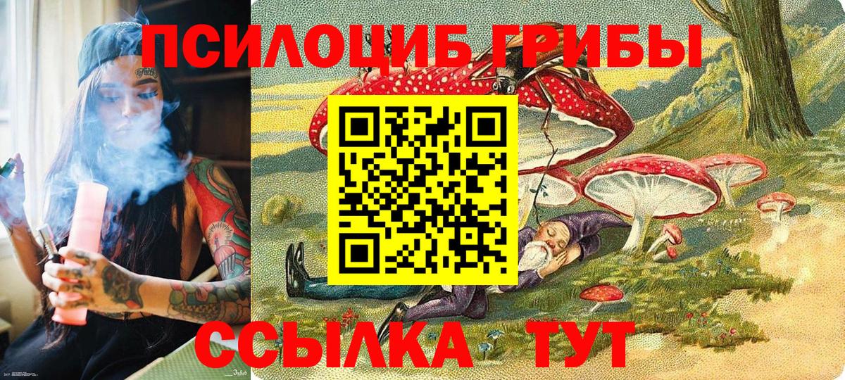 Псилоцибиновые грибы MAGIC MUSHROOMS Азнакаево