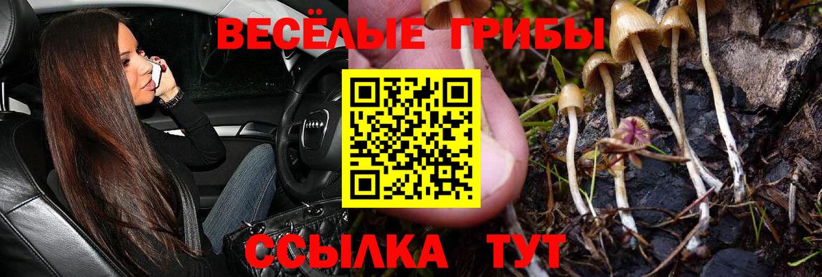 Псилоцибиновые грибы Magic Shrooms  Галлюциногенные грибы Psilocybe  Вход с VPN  Азнакаево 